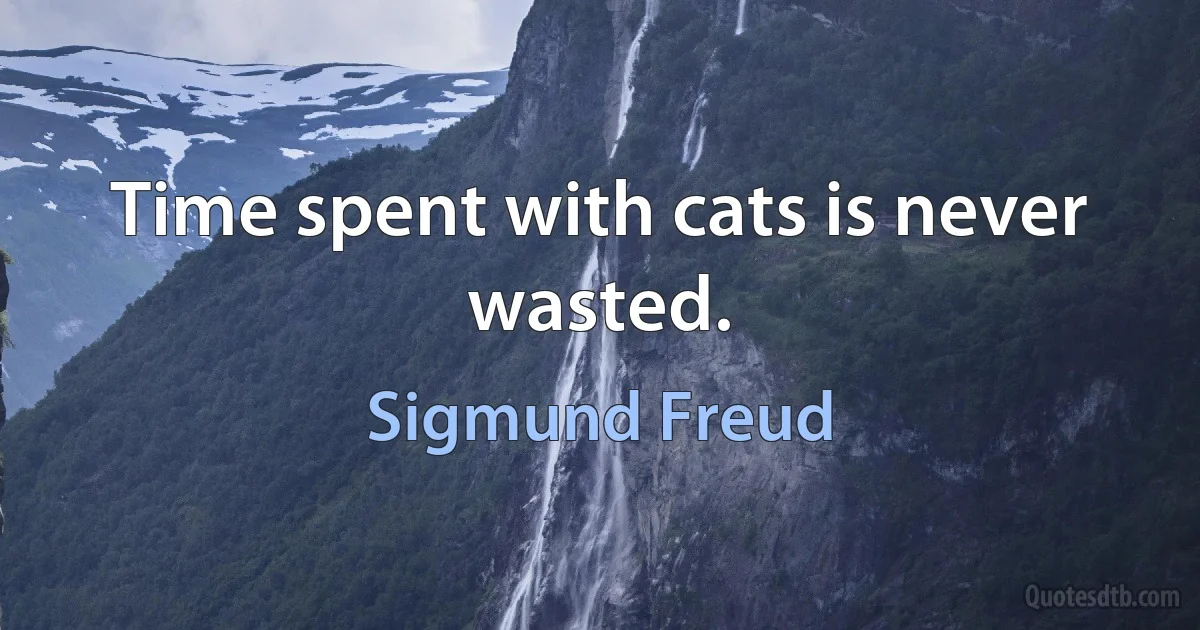 Time spent with cats is never wasted. (Sigmund Freud)