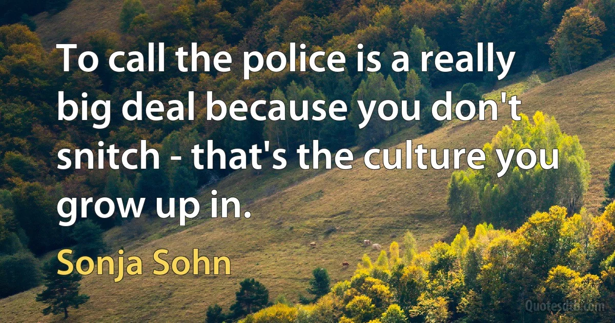 To call the police is a really big deal because you don't snitch - that's the culture you grow up in. (Sonja Sohn)