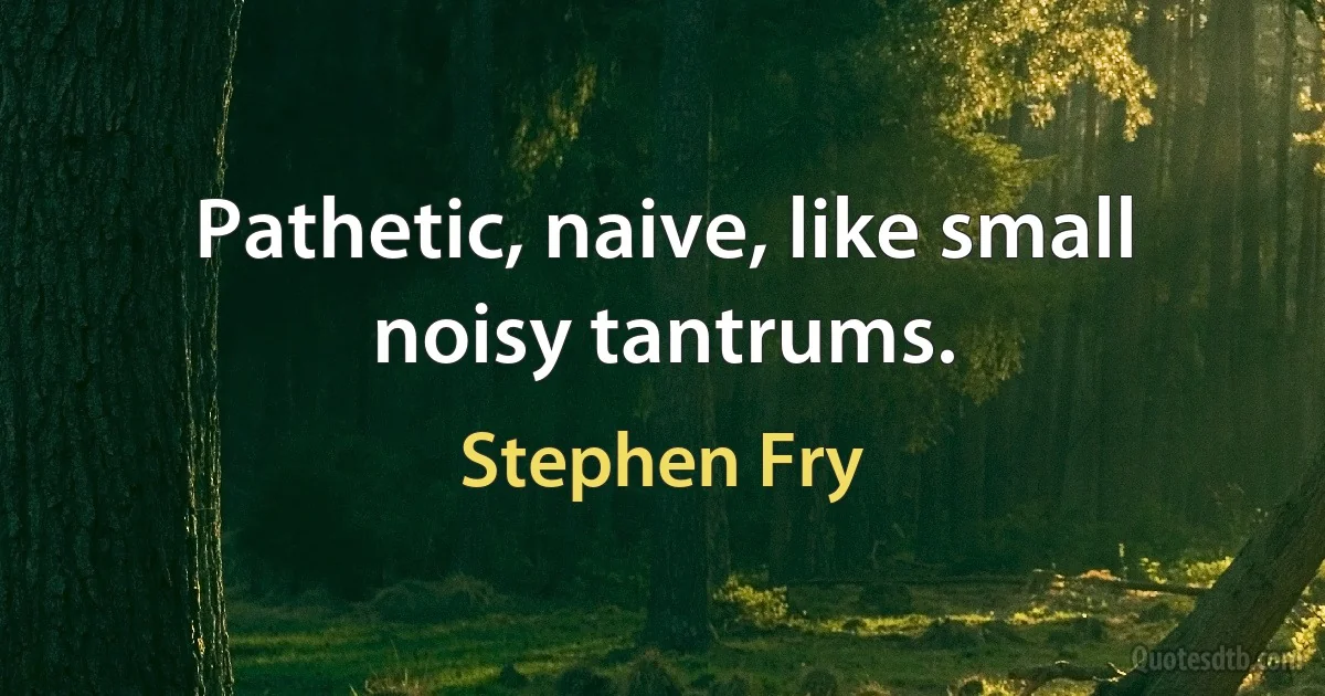 Pathetic, naive, like small noisy tantrums. (Stephen Fry)