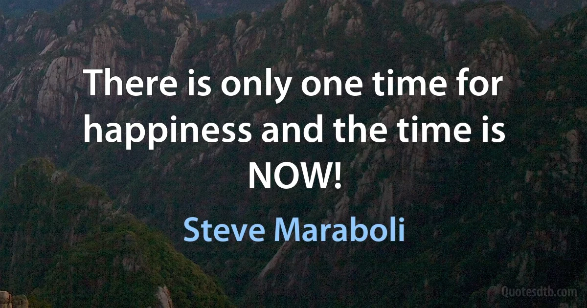 There is only one time for happiness and the time is NOW! (Steve Maraboli)