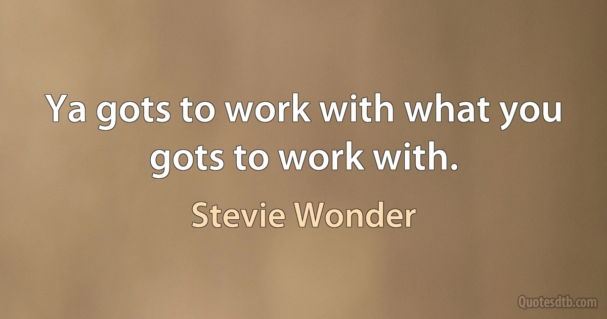 Ya gots to work with what you gots to work with. (Stevie Wonder)