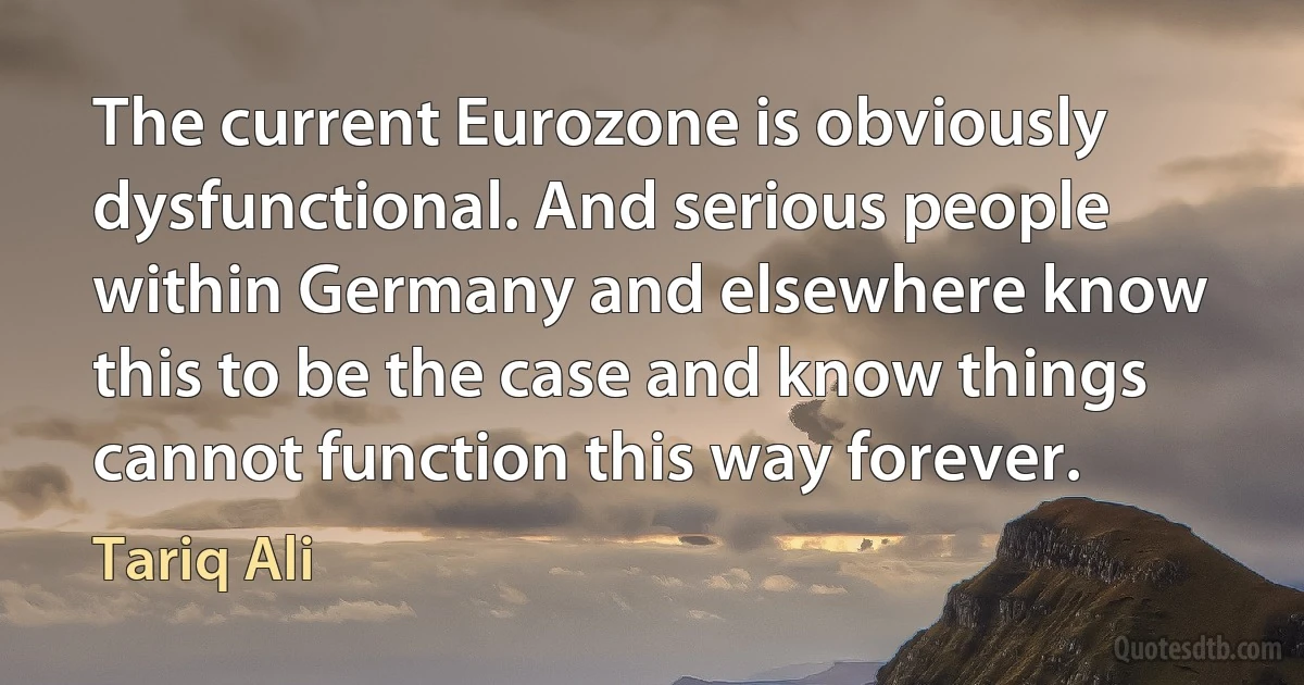 The current Eurozone is obviously dysfunctional. And serious people within Germany and elsewhere know this to be the case and know things cannot function this way forever. (Tariq Ali)