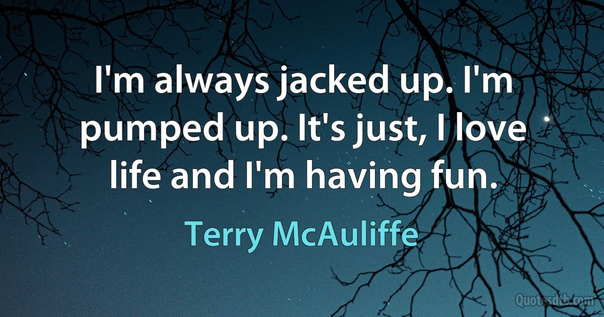 I'm always jacked up. I'm pumped up. It's just, I love life and I'm having fun. (Terry McAuliffe)