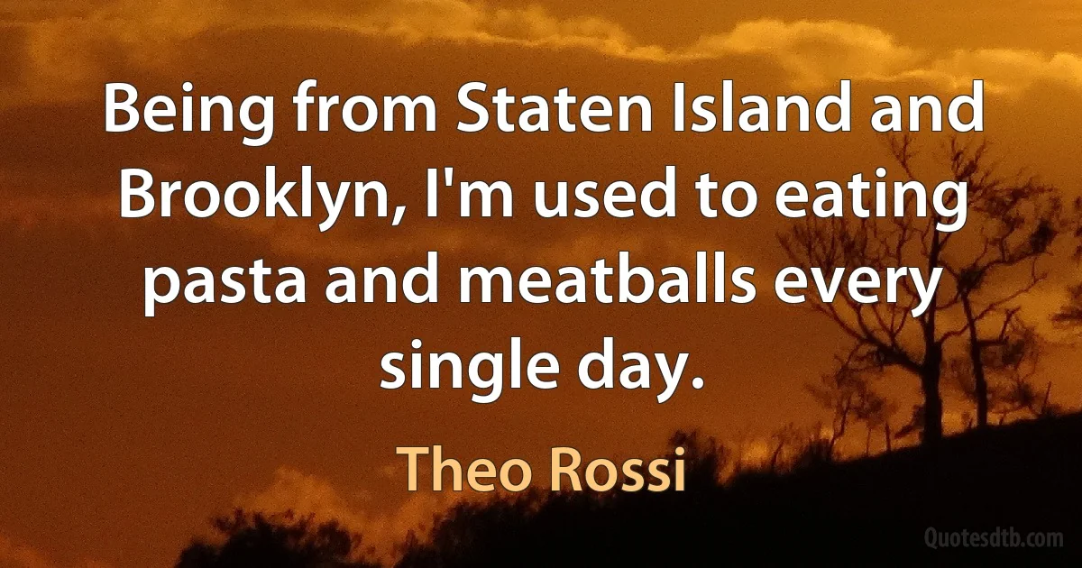 Being from Staten Island and Brooklyn, I'm used to eating pasta and meatballs every single day. (Theo Rossi)