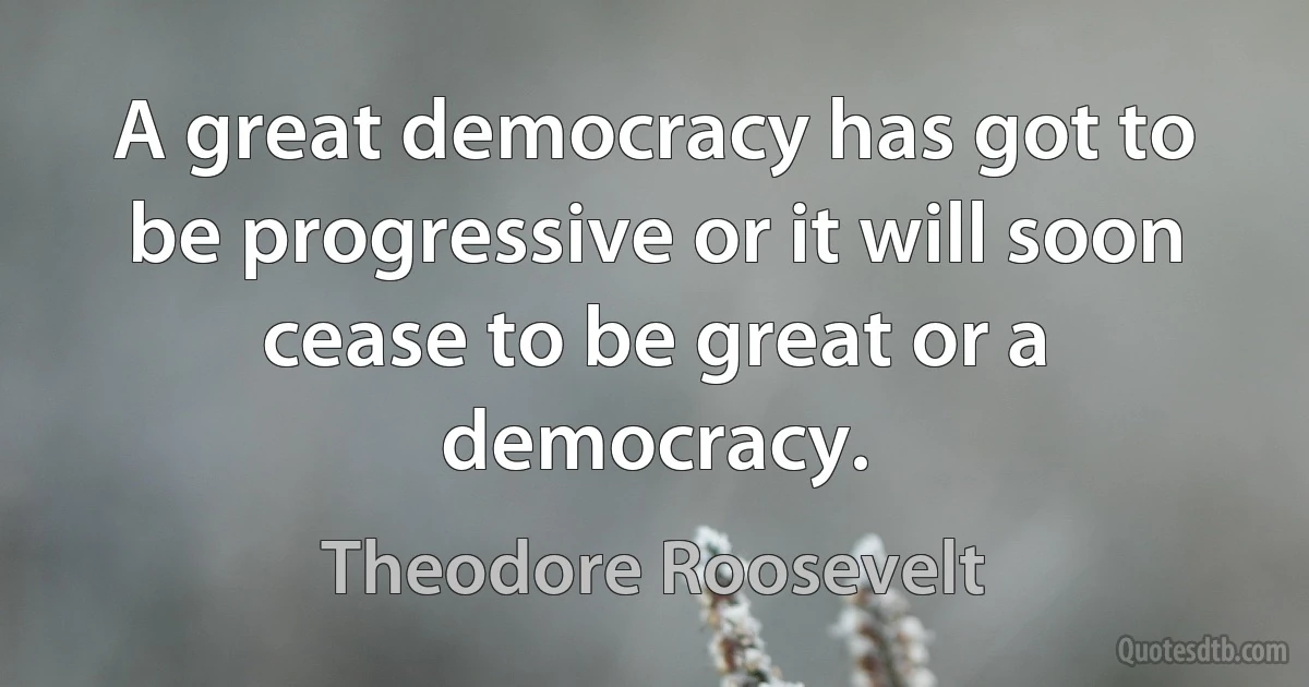 A great democracy has got to be progressive or it will soon cease to be great or a democracy. (Theodore Roosevelt)