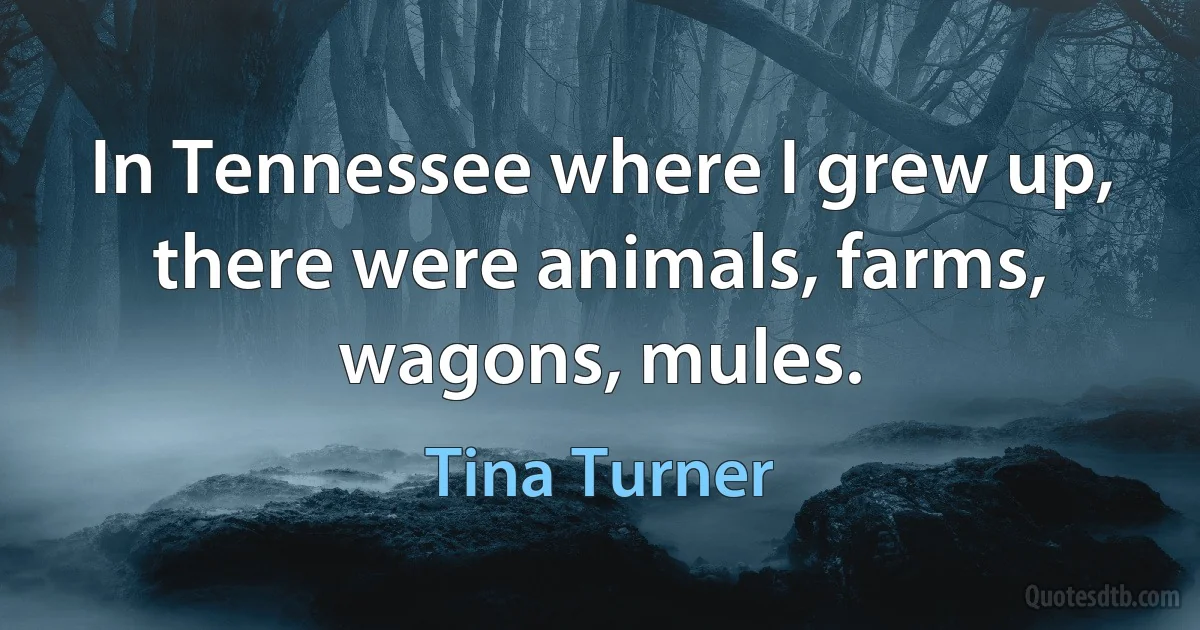 In Tennessee where I grew up, there were animals, farms, wagons, mules. (Tina Turner)