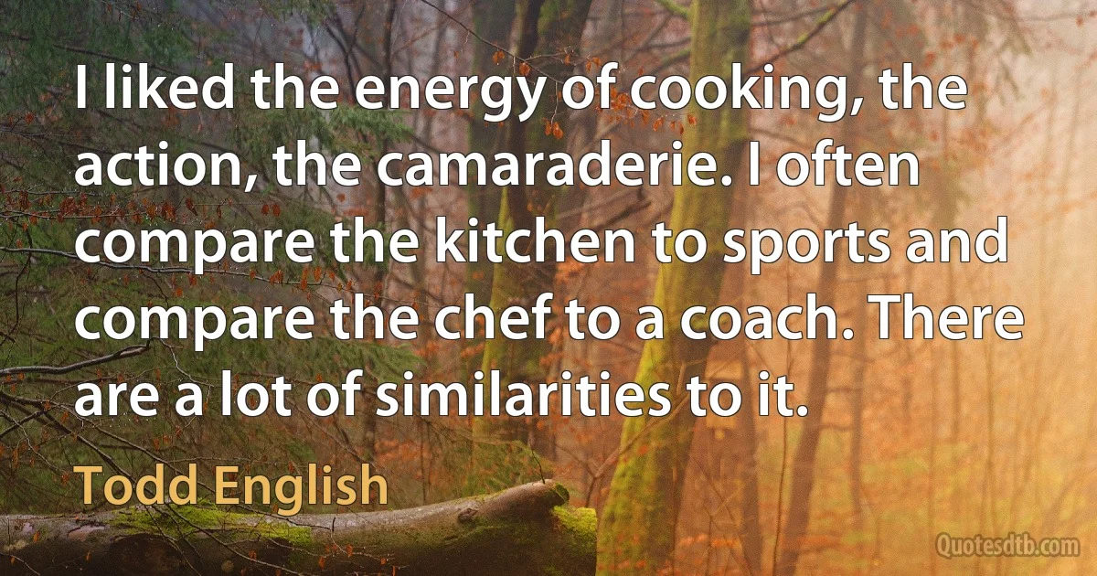 I liked the energy of cooking, the action, the camaraderie. I often compare the kitchen to sports and compare the chef to a coach. There are a lot of similarities to it. (Todd English)