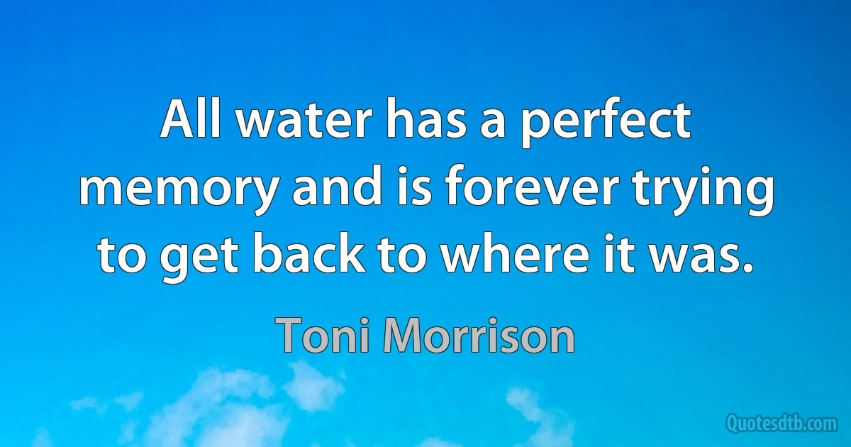 All water has a perfect memory and is forever trying to get back to where it was. (Toni Morrison)