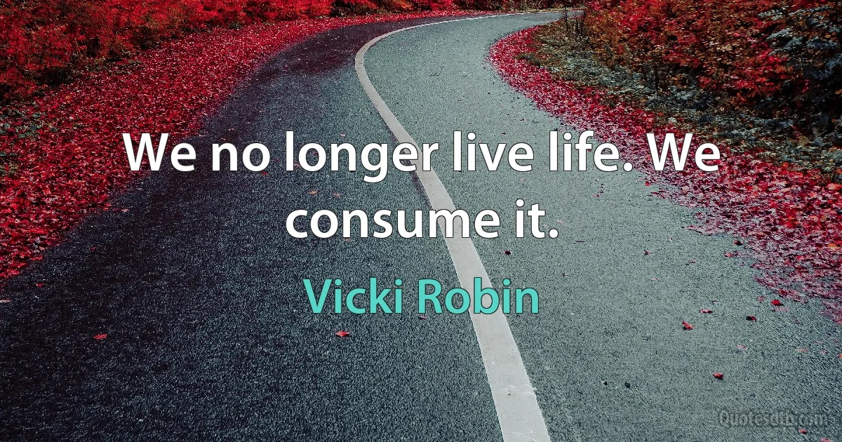 We no longer live life. We consume it. (Vicki Robin)