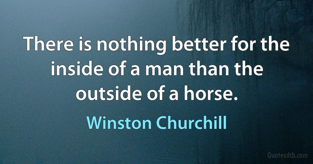 There is nothing better for the inside of a man than the outside of a horse. (Winston Churchill)