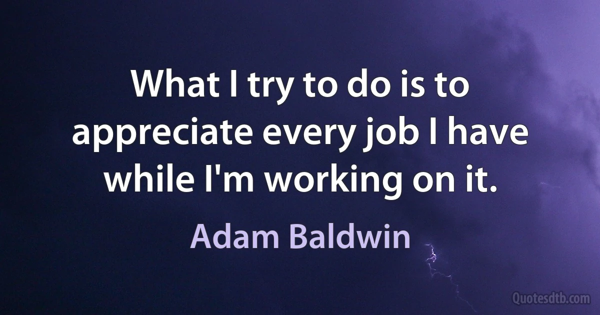 What I try to do is to appreciate every job I have while I'm working on it. (Adam Baldwin)