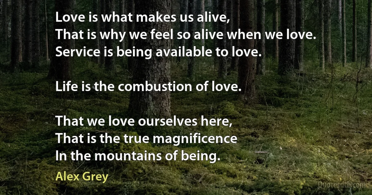 Love is what makes us alive,
That is why we feel so alive when we love.
Service is being available to love.

Life is the combustion of love.

That we love ourselves here,
That is the true magnificence
In the mountains of being. (Alex Grey)