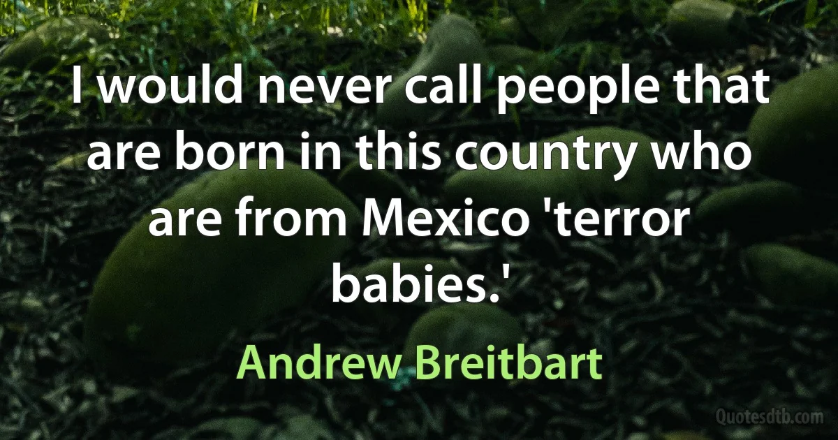 I would never call people that are born in this country who are from Mexico 'terror babies.' (Andrew Breitbart)