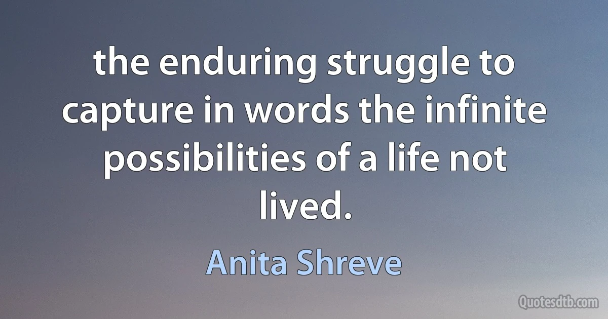 the enduring struggle to capture in words the infinite possibilities of a life not lived. (Anita Shreve)