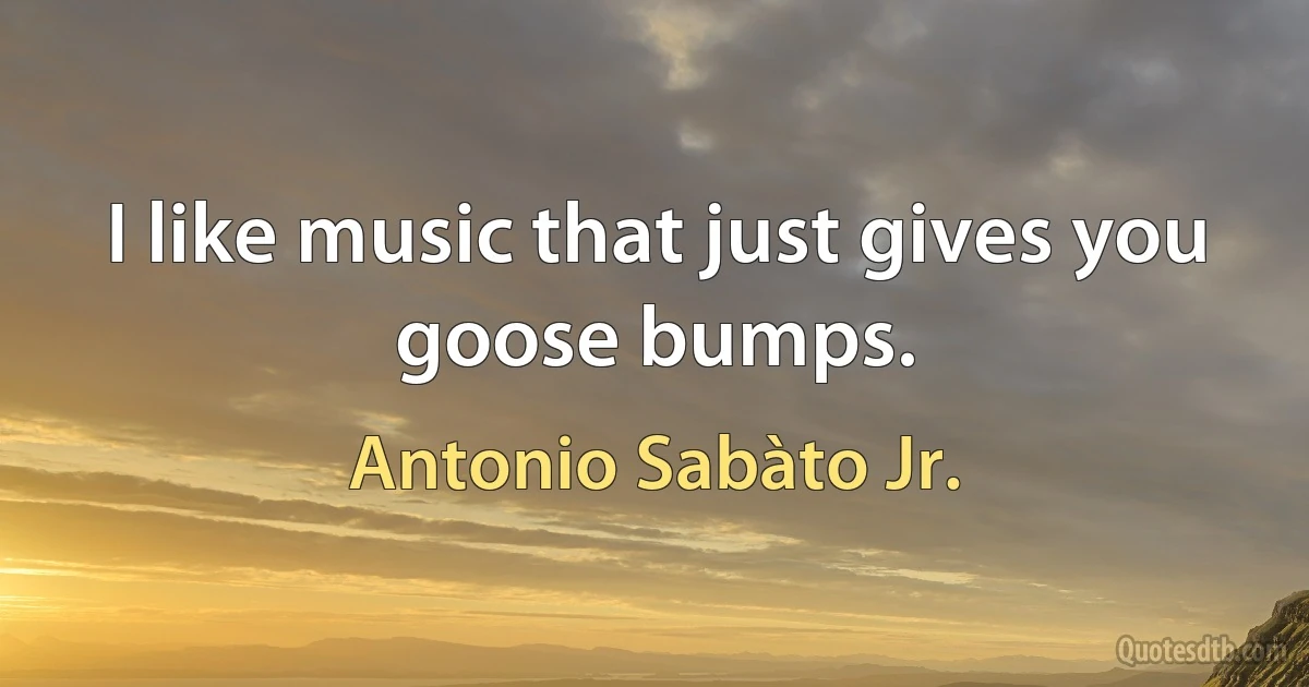 I like music that just gives you goose bumps. (Antonio Sabàto Jr.)