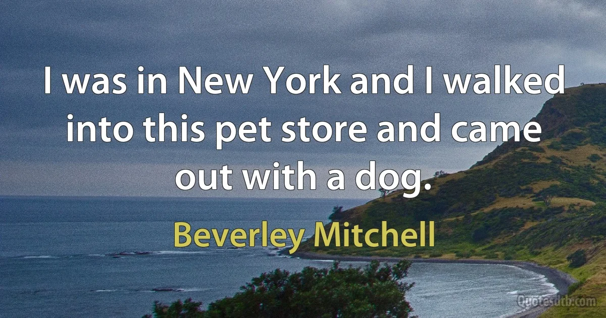 I was in New York and I walked into this pet store and came out with a dog. (Beverley Mitchell)