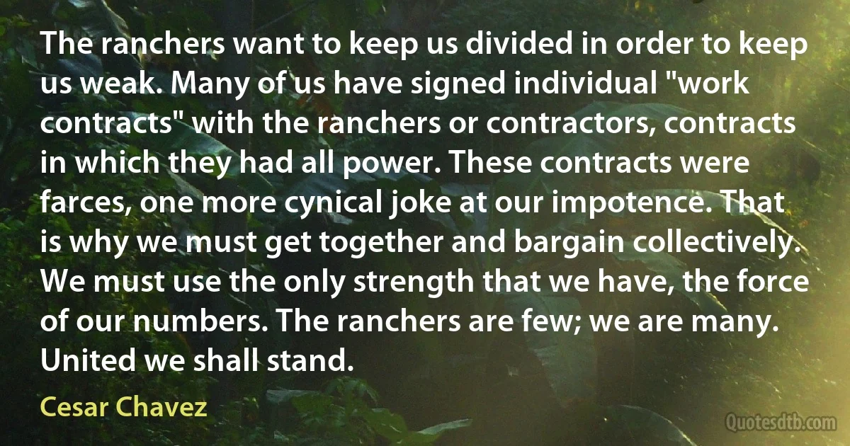 The ranchers want to keep us divided in order to keep us weak. Many of us have signed individual "work contracts" with the ranchers or contractors, contracts in which they had all power. These contracts were farces, one more cynical joke at our impotence. That is why we must get together and bargain collectively. We must use the only strength that we have, the force of our numbers. The ranchers are few; we are many. United we shall stand. (Cesar Chavez)