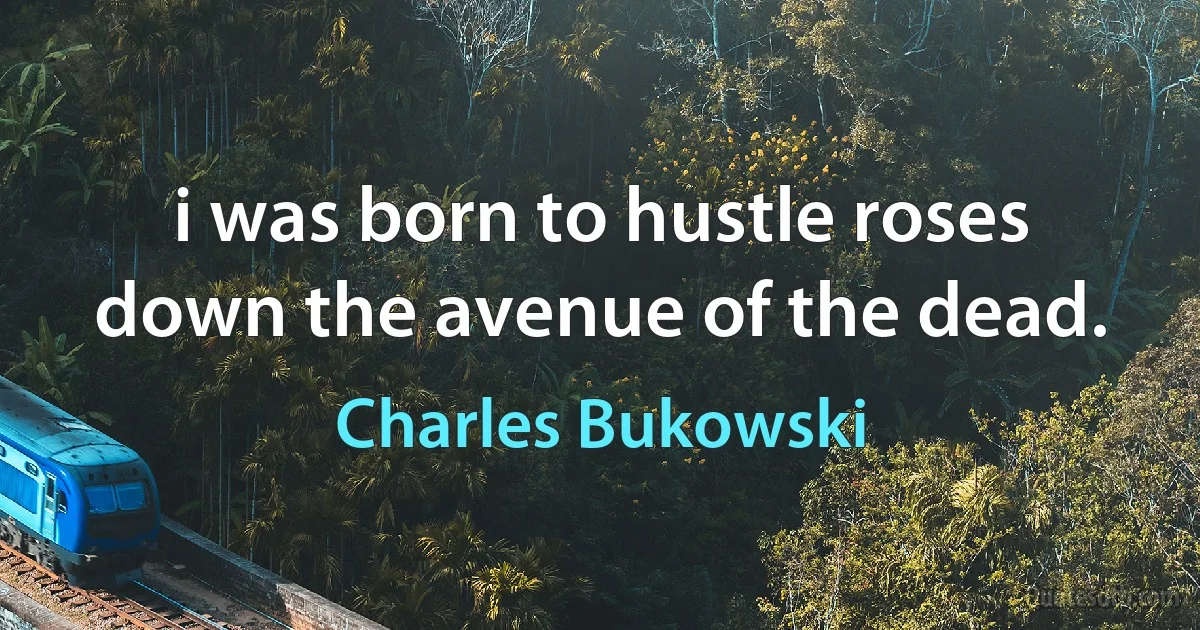 i was born to hustle roses down the avenue of the dead. (Charles Bukowski)