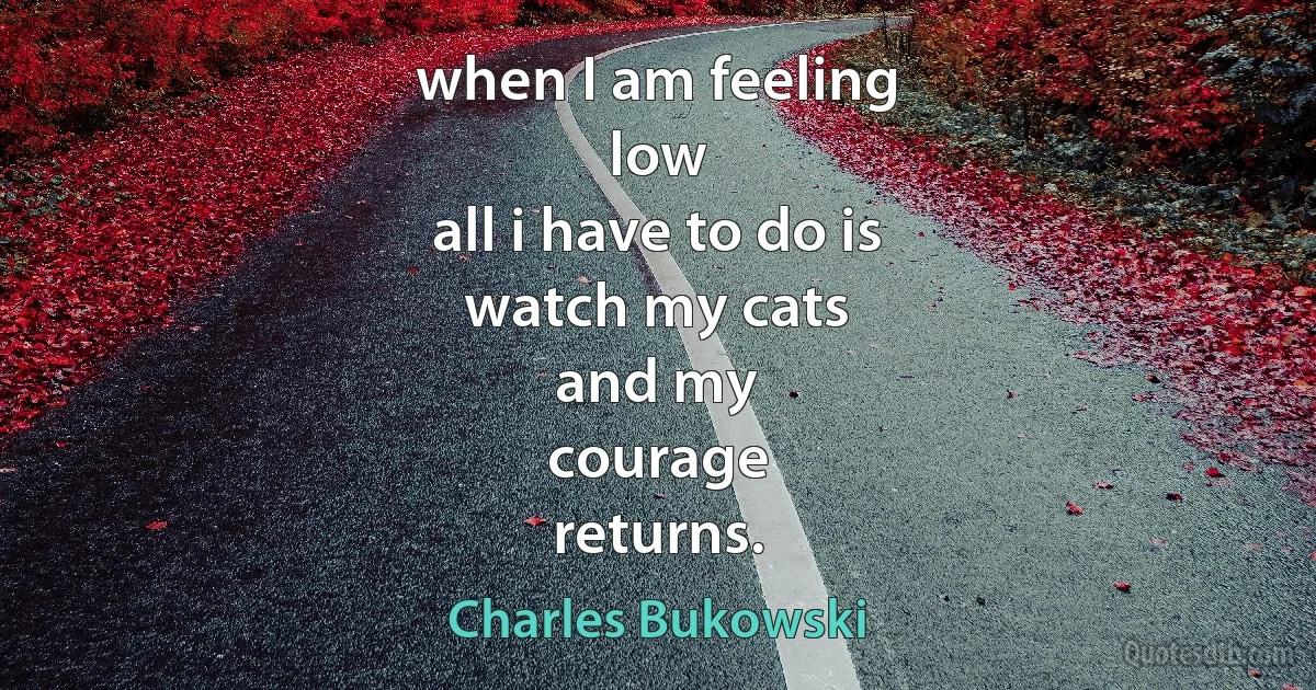 when I am feeling
low
all i have to do is
watch my cats
and my
courage
returns. (Charles Bukowski)