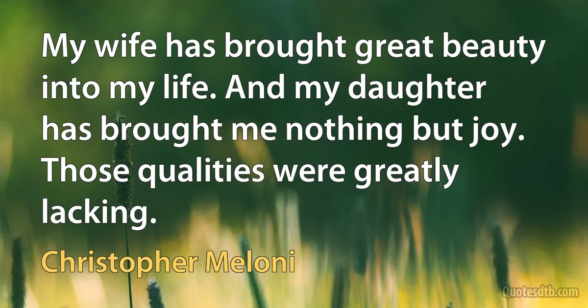 My wife has brought great beauty into my life. And my daughter has brought me nothing but joy. Those qualities were greatly lacking. (Christopher Meloni)