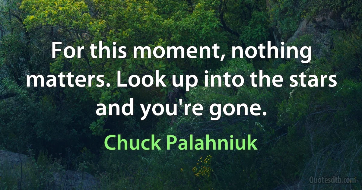 For this moment, nothing matters. Look up into the stars and you're gone. (Chuck Palahniuk)