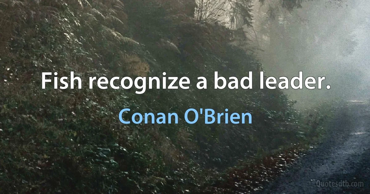 Fish recognize a bad leader. (Conan O'Brien)