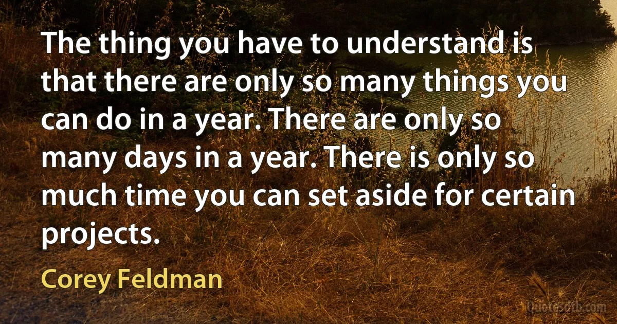 The thing you have to understand is that there are only so many things you can do in a year. There are only so many days in a year. There is only so much time you can set aside for certain projects. (Corey Feldman)