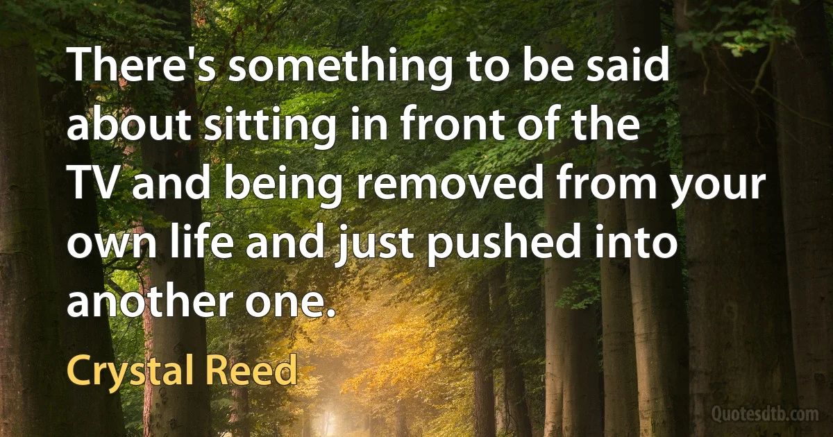 There's something to be said about sitting in front of the TV and being removed from your own life and just pushed into another one. (Crystal Reed)