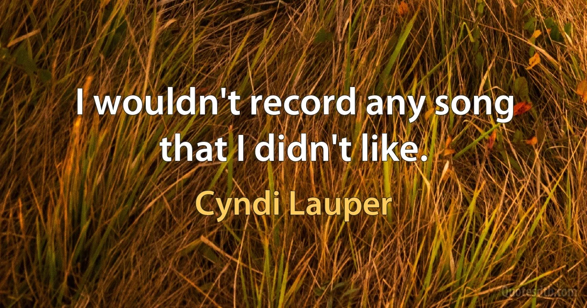 I wouldn't record any song that I didn't like. (Cyndi Lauper)