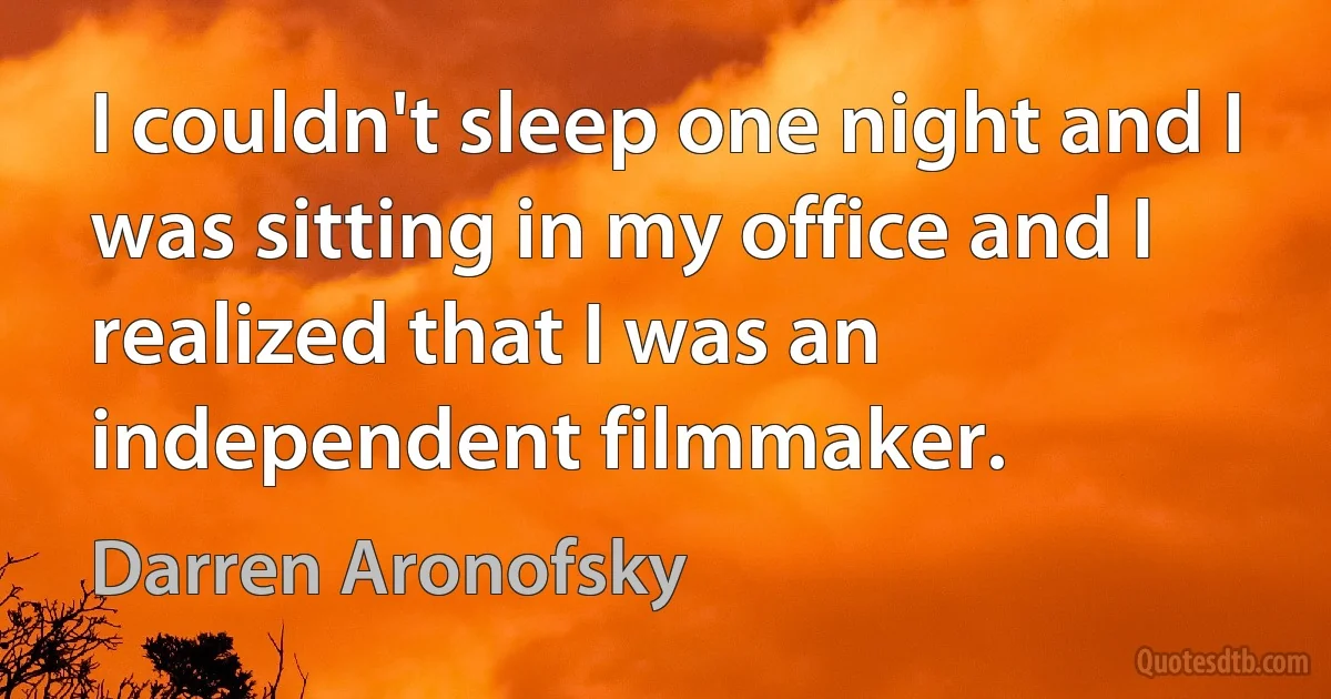 I couldn't sleep one night and I was sitting in my office and I realized that I was an independent filmmaker. (Darren Aronofsky)