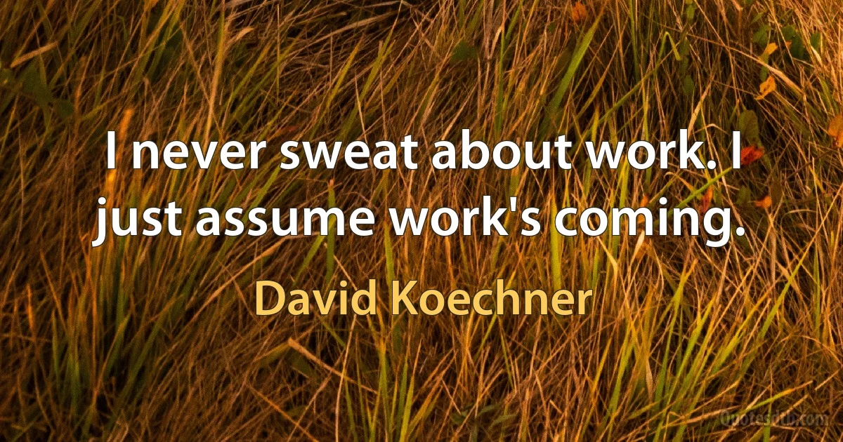 I never sweat about work. I just assume work's coming. (David Koechner)