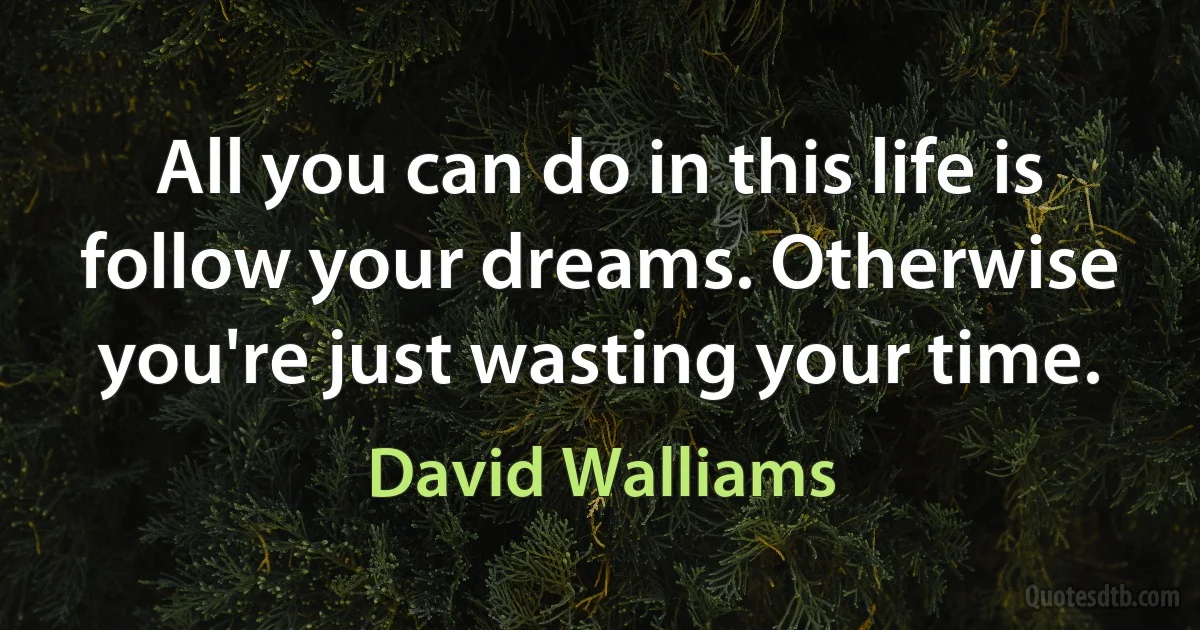 All you can do in this life is follow your dreams. Otherwise you're just wasting your time. (David Walliams)