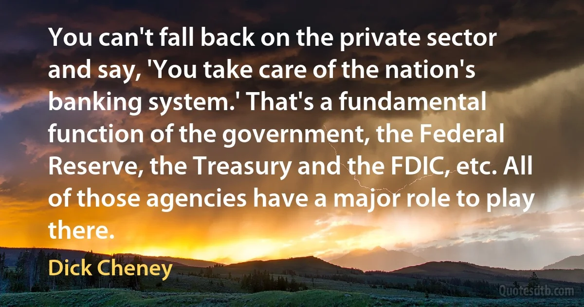 You can't fall back on the private sector and say, 'You take care of the nation's banking system.' That's a fundamental function of the government, the Federal Reserve, the Treasury and the FDIC, etc. All of those agencies have a major role to play there. (Dick Cheney)