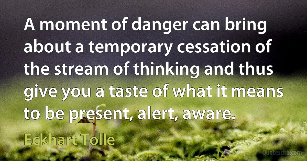 A moment of danger can bring about a temporary cessation of the stream of thinking and thus give you a taste of what it means to be present, alert, aware. (Eckhart Tolle)