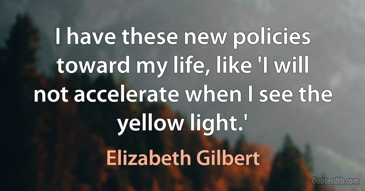 I have these new policies toward my life, like 'I will not accelerate when I see the yellow light.' (Elizabeth Gilbert)