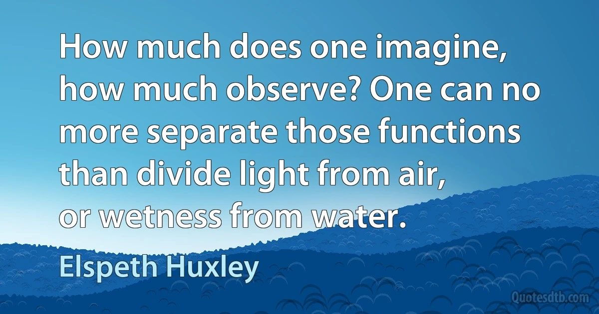 How much does one imagine, how much observe? One can no more separate those functions than divide light from air, or wetness from water. (Elspeth Huxley)