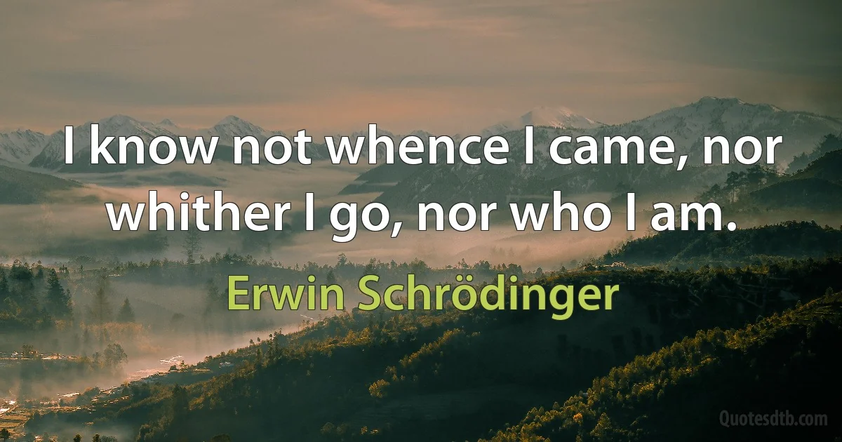 I know not whence I came, nor whither I go, nor who I am. (Erwin Schrödinger)