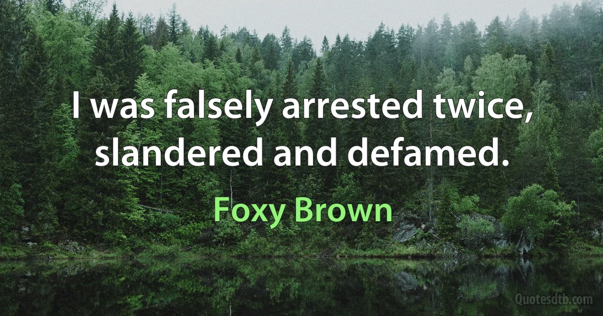 I was falsely arrested twice, slandered and defamed. (Foxy Brown)