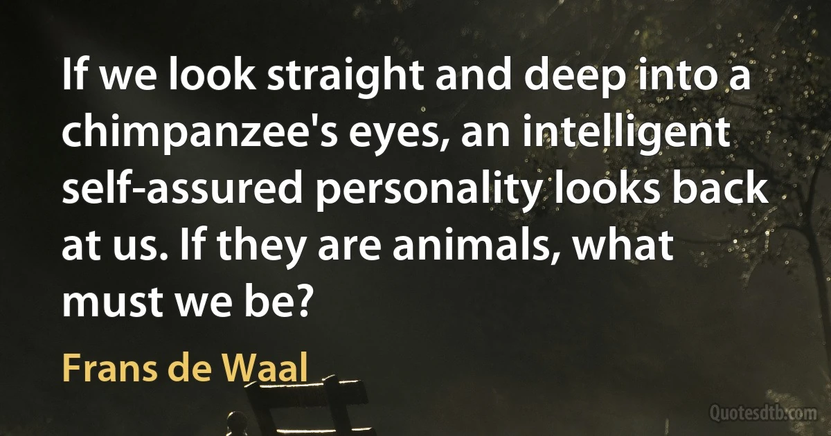 If we look straight and deep into a chimpanzee's eyes, an intelligent self-assured personality looks back at us. If they are animals, what must we be? (Frans de Waal)