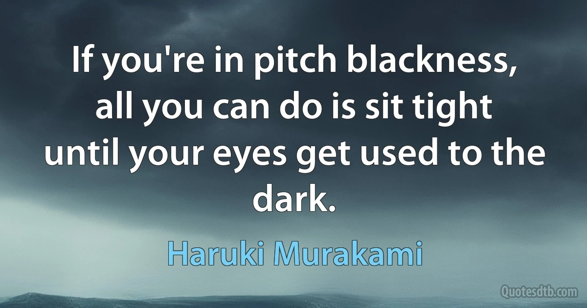 If you're in pitch blackness, all you can do is sit tight until your eyes get used to the dark. (Haruki Murakami)