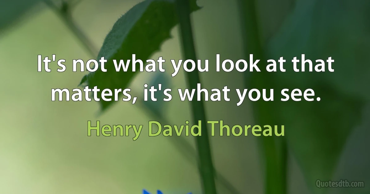 It's not what you look at that matters, it's what you see. (Henry David Thoreau)