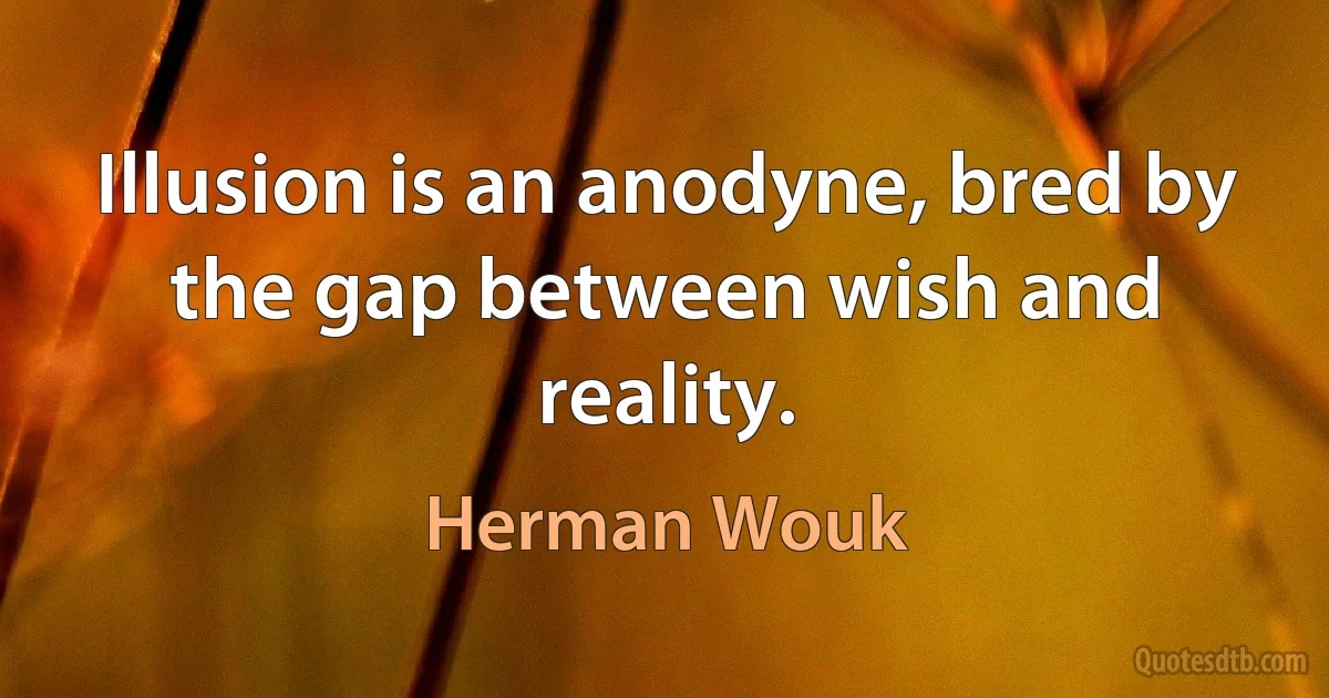 Illusion is an anodyne, bred by the gap between wish and reality. (Herman Wouk)