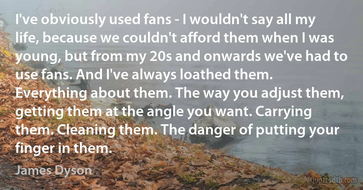 I've obviously used fans - I wouldn't say all my life, because we couldn't afford them when I was young, but from my 20s and onwards we've had to use fans. And I've always loathed them. Everything about them. The way you adjust them, getting them at the angle you want. Carrying them. Cleaning them. The danger of putting your finger in them. (James Dyson)