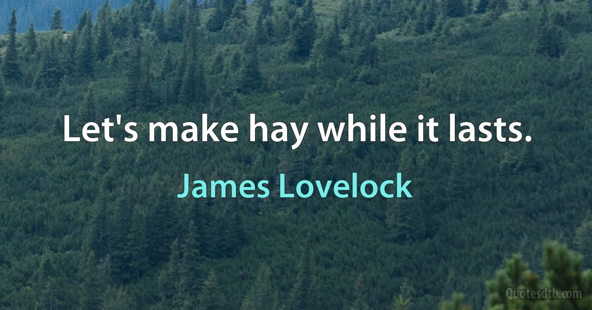 Let's make hay while it lasts. (James Lovelock)