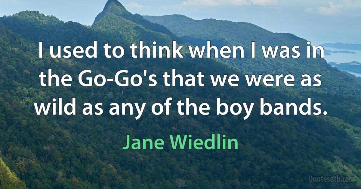 I used to think when I was in the Go-Go's that we were as wild as any of the boy bands. (Jane Wiedlin)