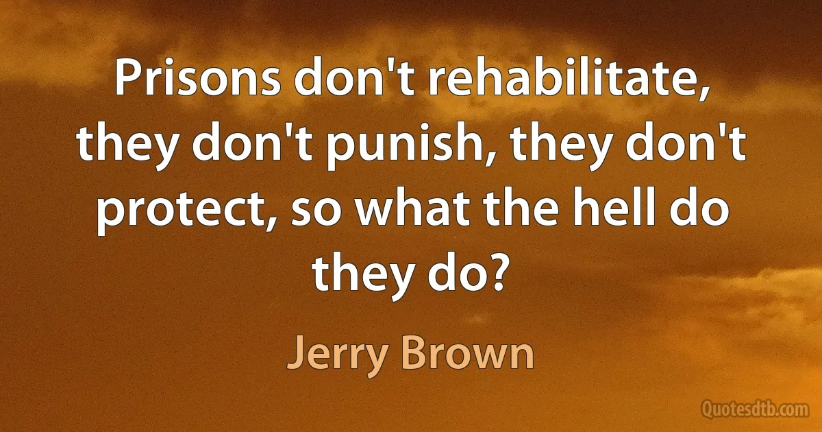 Prisons don't rehabilitate, they don't punish, they don't protect, so what the hell do they do? (Jerry Brown)