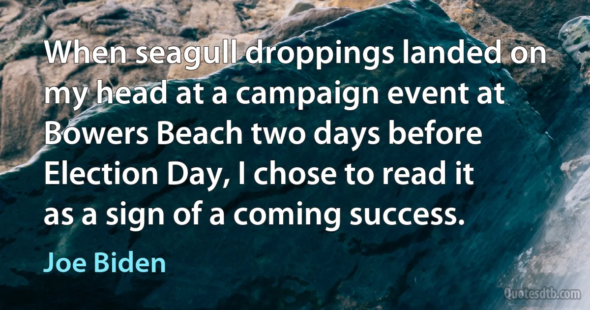 When seagull droppings landed on my head at a campaign event at Bowers Beach two days before Election Day, I chose to read it as a sign of a coming success. (Joe Biden)