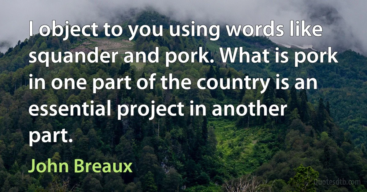 I object to you using words like squander and pork. What is pork in one part of the country is an essential project in another part. (John Breaux)