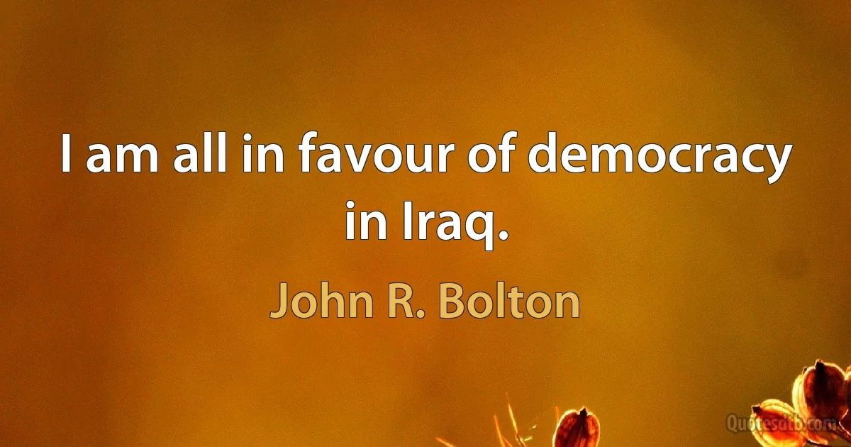 I am all in favour of democracy in Iraq. (John R. Bolton)