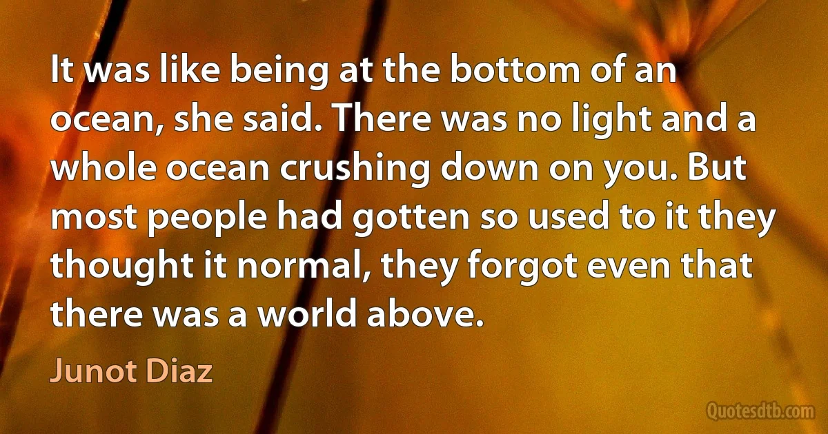 It was like being at the bottom of an ocean, she said. There was no light and a whole ocean crushing down on you. But most people had gotten so used to it they thought it normal, they forgot even that there was a world above. (Junot Diaz)